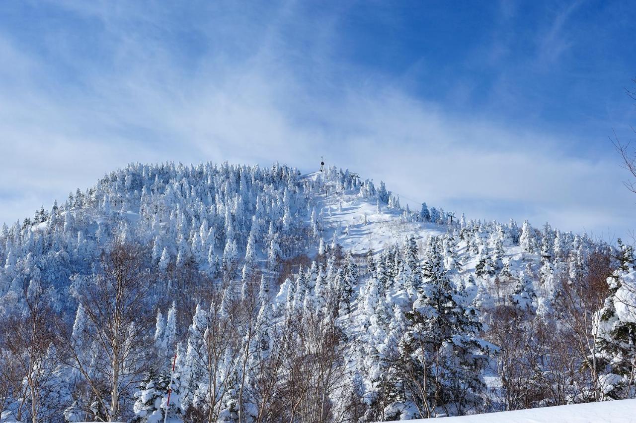 Shiga Kogen Olympic Hotel Yamanouchi  Zewnętrze zdjęcie